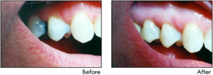 basic basic dentistry